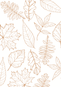 Feuilles d&eacute;licates d'octobre en aquarelle